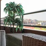 Luxury Palata Penthouse