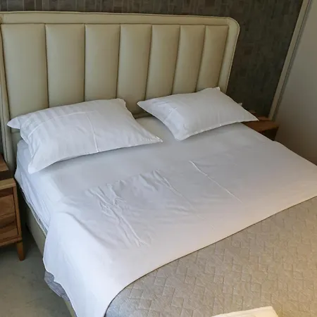 Appartement Luxury Palata Penthouse