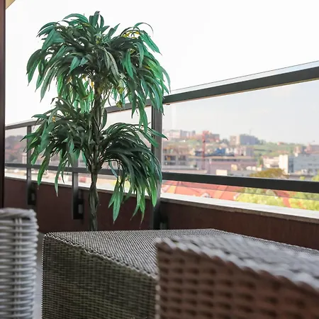 Luxury Palata Penthouse